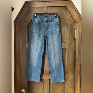 Anthropology Jeans size 26